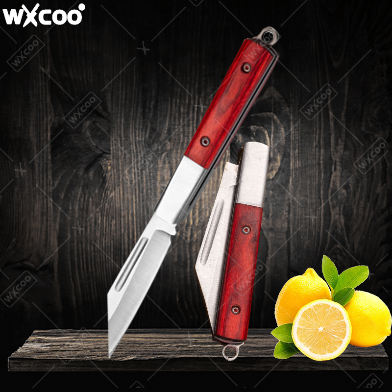 Kitchen Gadgets Pakistan - Cuchillo de bolsillo de acero inoxidable