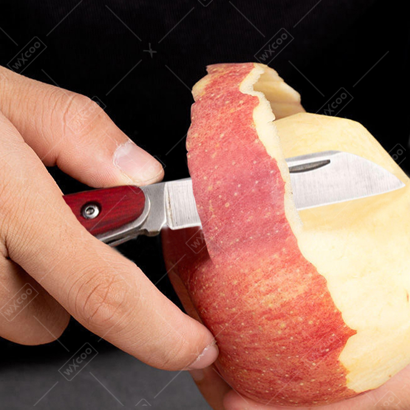 Cuchillo de bolsillo de acero  - Kitchen Gadgets Pakistan reseña y precio